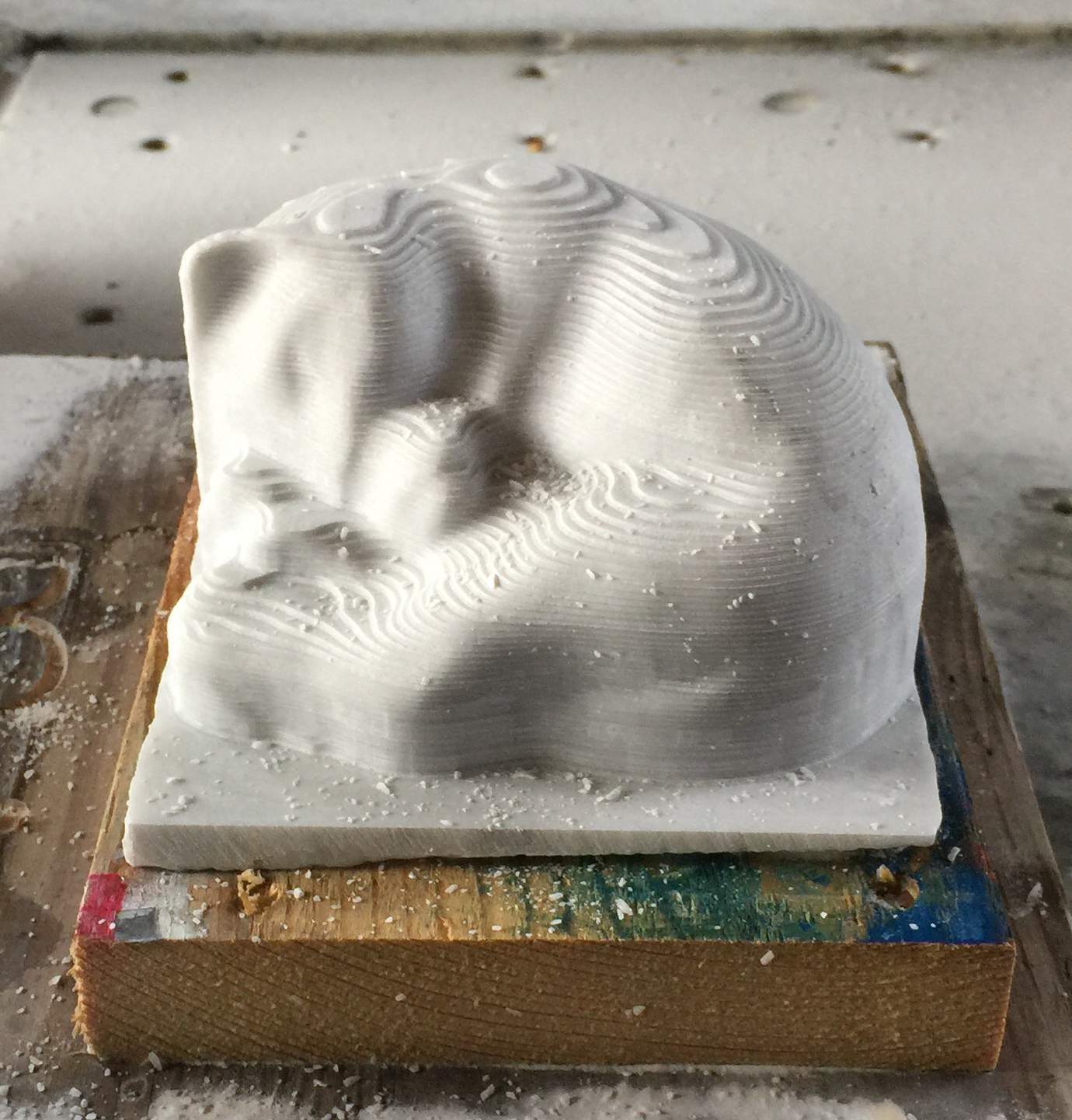 Kitty RoughCut