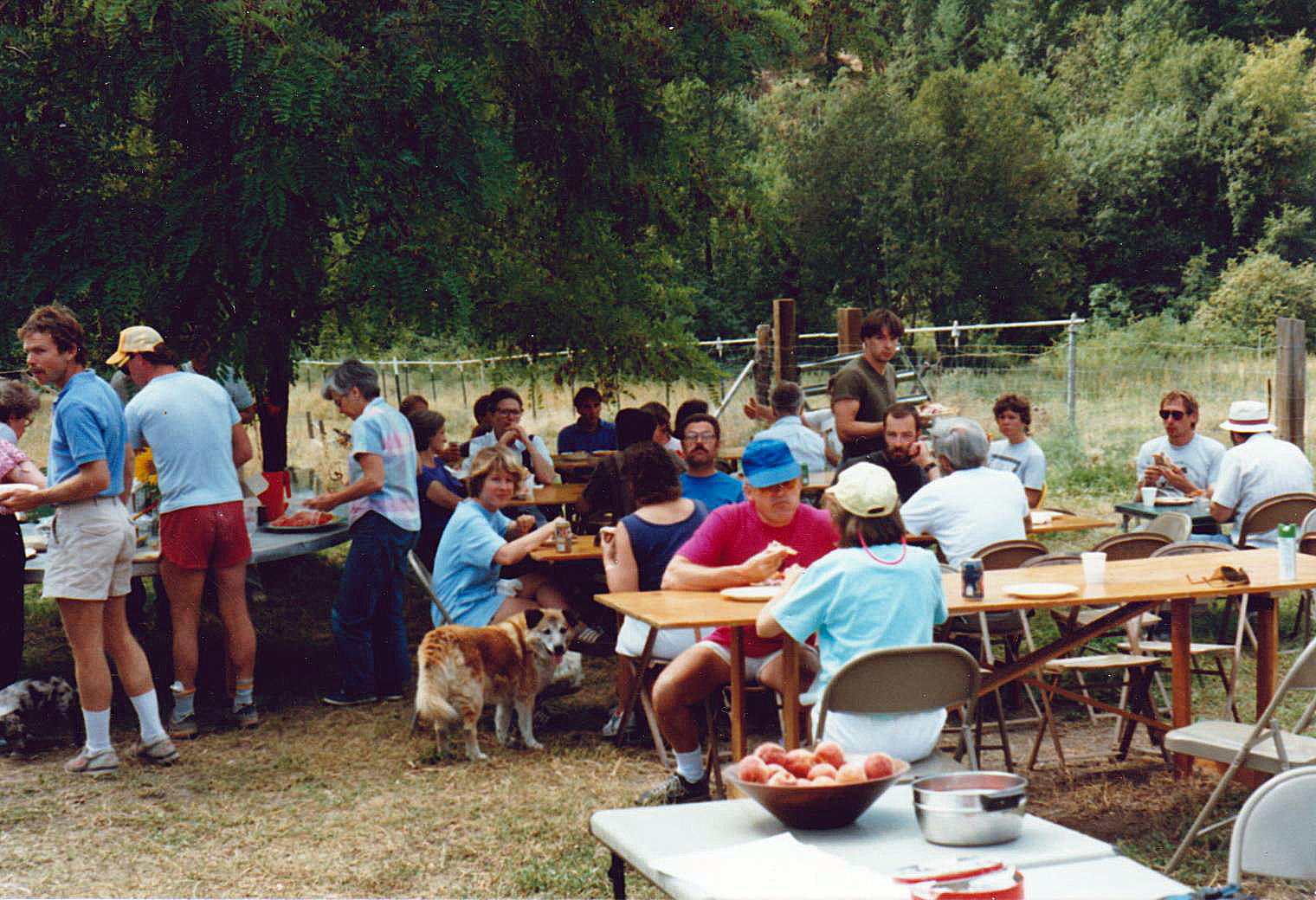 1989 Dinner