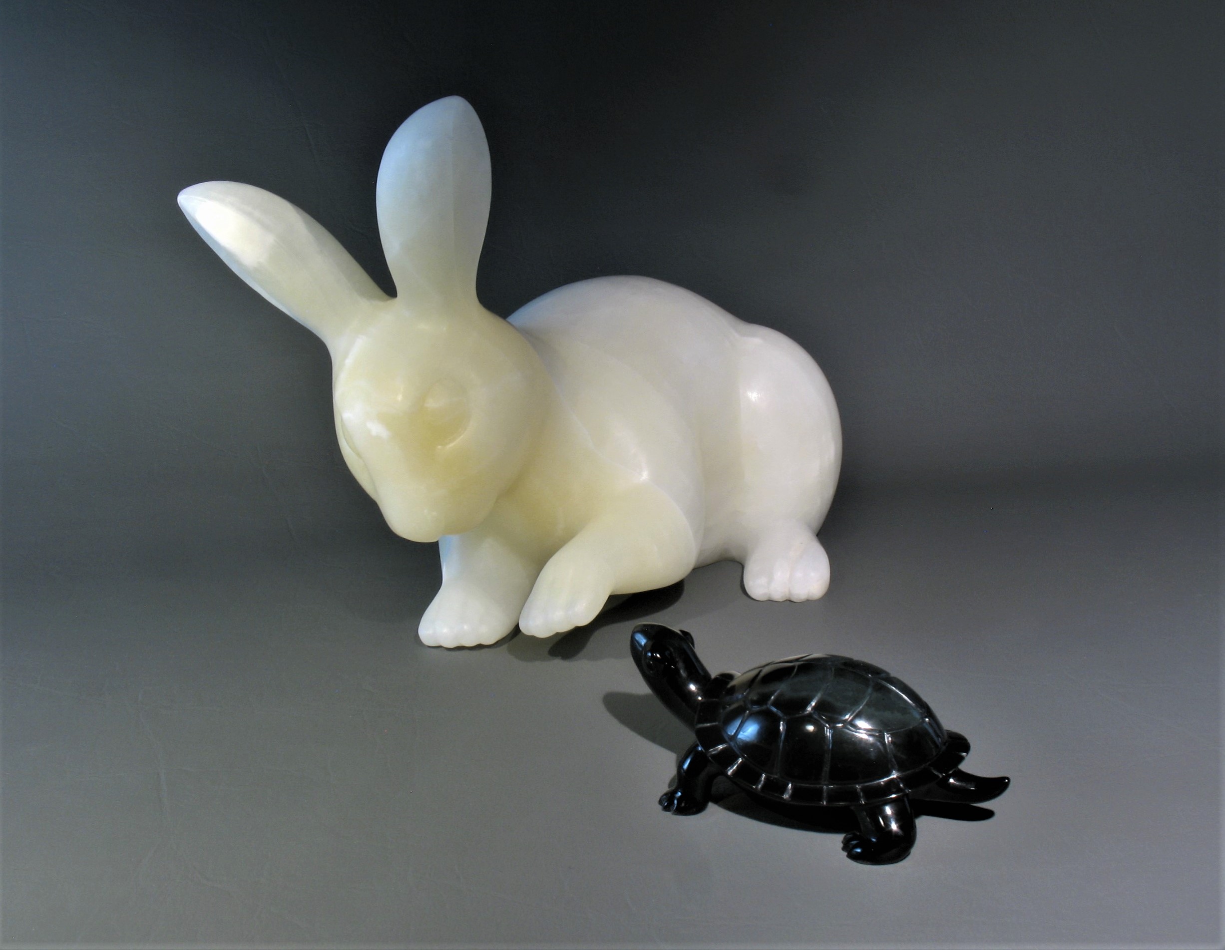 Deborah Wilson The Tortoise and the Hare